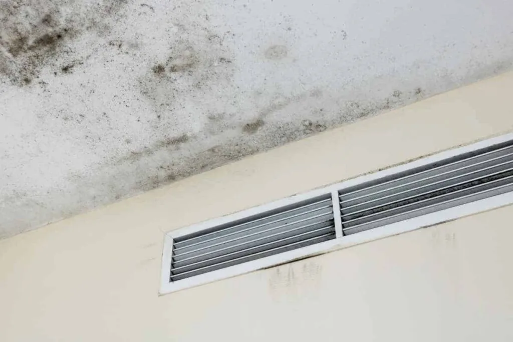 professional ac mold remediation